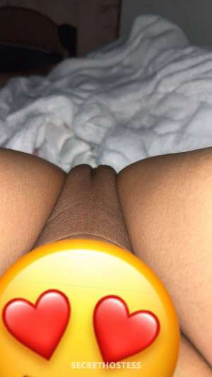 Jazz 22Yrs Old Escort Toledo OH Image - 3