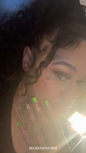 25Yrs Old Escort Queens NY Image - 2