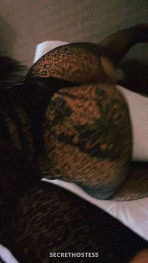 &amp; Av i b e True beauty TE TI G ZI G e 25 year old Escort in Santa Maria CA