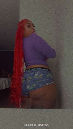 AllyCat Back In Town Looking To Have Fun INCALLS Only 26 year old Escort in Jackson MS