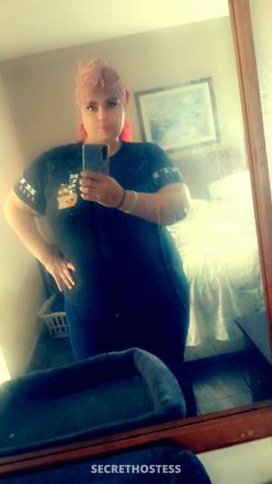 37Yrs Old Escort Cincinnati OH Image - 1