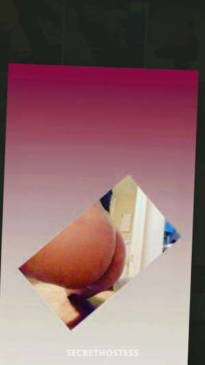 🍯honey🍯 27Yrs Old Escort Reno NV Image - 2