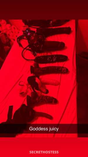 35Yrs Old Escort Brooklyn NY Image - 1
