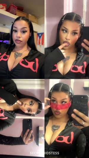 Dream 27Yrs Old Escort Bronx NY Image - 4