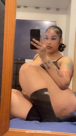 Dream 27Yrs Old Escort Bronx NY Image - 5