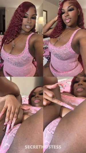New In Town - Nyack/Nanuet Incalls 21 year old Escort in Hudson Valley NY