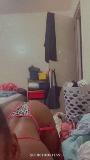 Ariel 24Yrs Old Escort Stockton CA Image - 2
