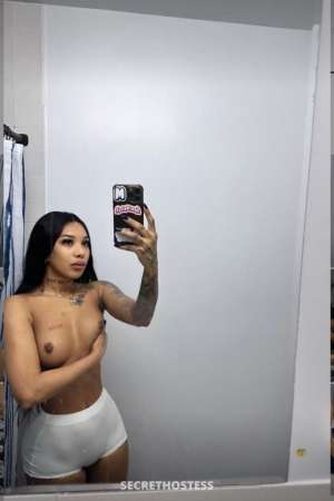 28 year old Escort in Los Angeles CA . escorts independent . home or hotel service personal