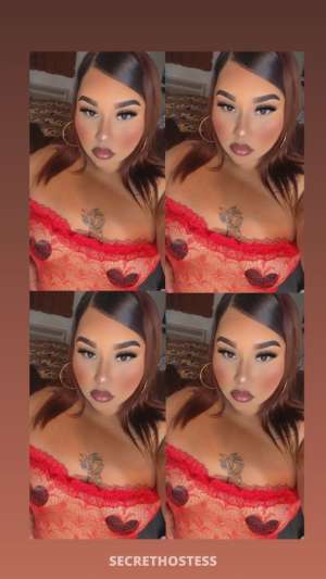 24Yrs Old Escort Oakland CA Image - 2