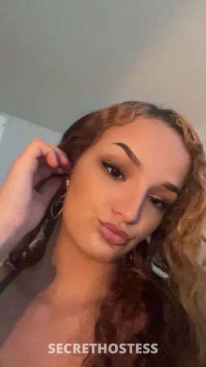 24Yrs Old Escort Santa Rosa/ North Bay CA Image - 1