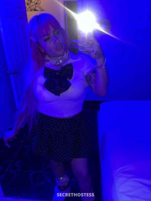 26Yrs Old Escort 157CM Tall Tampa FL Image - 1
