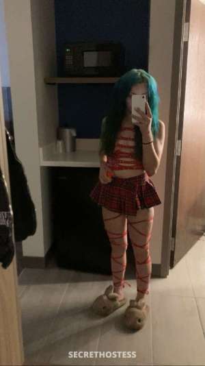 Good morning daddy come play with me 26 year old Escort in Little Rock AR