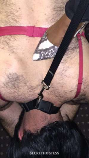 26Yrs Old Escort Little Rock AR Image - 1