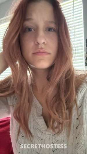 27Yrs Old Escort Sarasota / Bradenton FL Image - 1