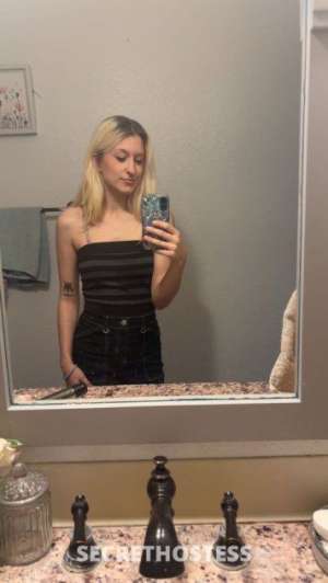 27Yrs Old Escort Sarasota / Bradenton FL Image - 2
