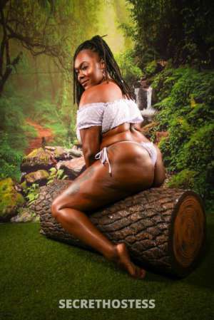The Golden Sunshine you need 28 year old Escort in Washington D.C. DC