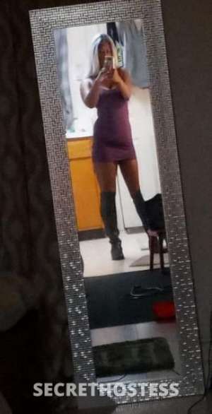 Gorgeous Areil Duluth 1 playmate INCALL ONLY 33 year old Escort in Duluth MN