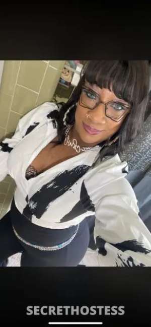 Blairyour 40Yrs Old Escort Grand Rapids MI Image - 6