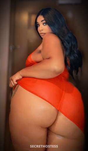 28 year old Escort in Concord CA L M TED T ME OTI Caramel Delight
