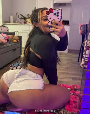 27 year old Escort in Madison WI Hookup🥰add me up on via xxxx-xxx-xxx) or telegram @