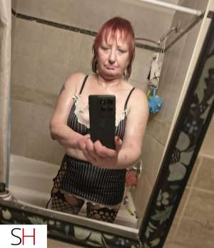 No taste no smell kitty cum to my hut and take a taste 55 year old Escort in Kitchener