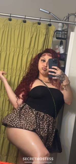 Alexis 23Yrs Old Escort Manhattan KS Image - 2