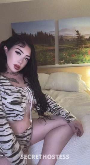 Ana 24Yrs Old Escort Reno NV Image - 5