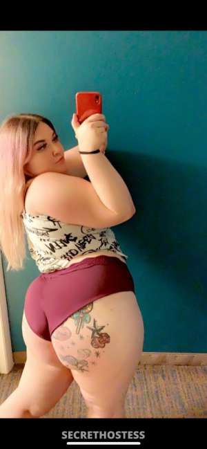 Kandy 22Yrs Old Escort 175CM Tall Tampa FL Image - 7