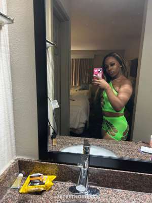 NYLA 25Yrs Old Escort Beaumont TX Image - 3