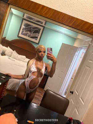 22 year old Escort in Oakland CA INCALL QV SPECIAL OUTCALL AVALIABLE NOW SEXY MIXED EBONY 