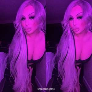 25Yrs Old Escort San Mateo CA Image - 1
