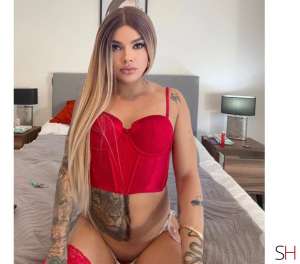 23 year old Brazilian Escort in Cheltenham Darlington I'm a beautiful girl. Female TS curves 🇧🇷, 