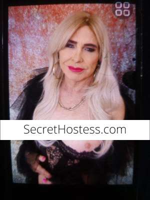 38Yrs Old Escort Image - 17