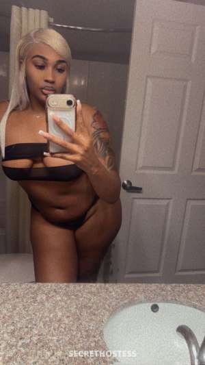 Sasha 29Yrs Old Escort Gainesville FL Image - 2