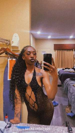 Paid In Full Cum And Enjoy These Private Delights 100 24 year old Escort in Birmingham AL