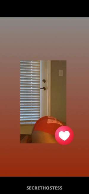 Brownie 23Yrs Old Escort Chicago IL Image - 0