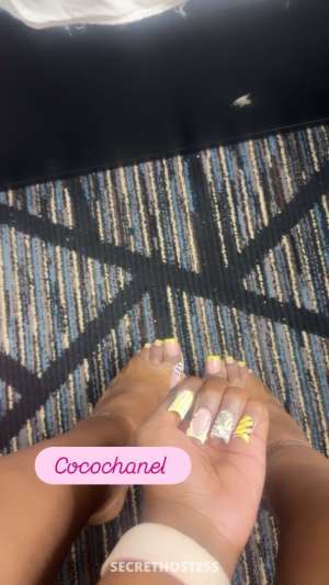 23 year old Escort in Memphis TN (PEG QUEEN THE 1st to do it 🍆)DA BADDEST 304 💕is Back 
