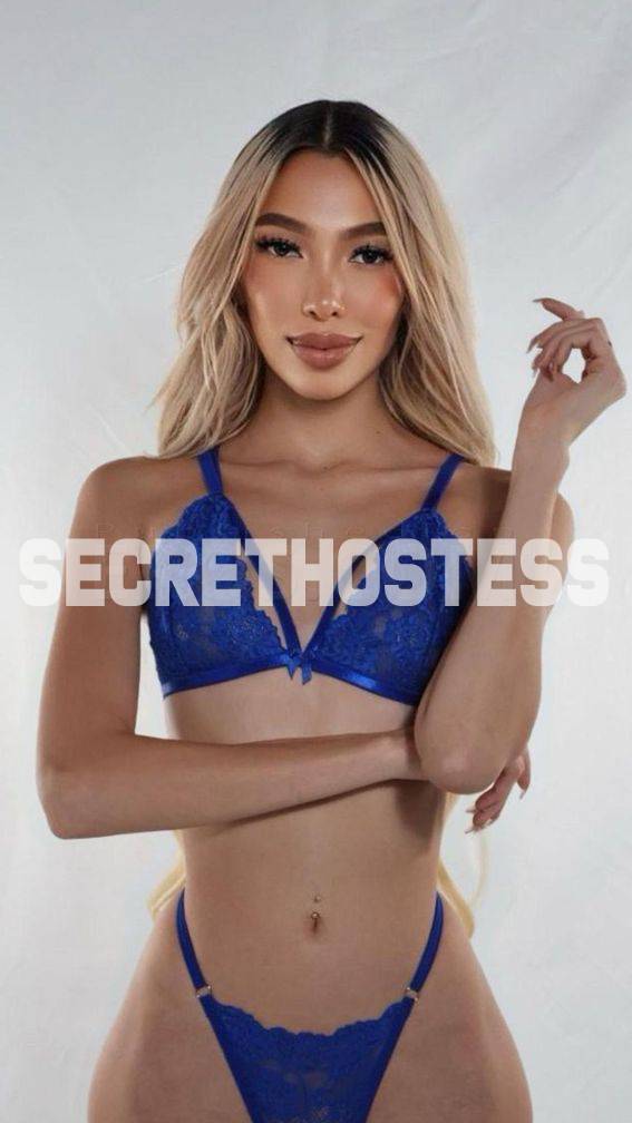 Sasha 23Yrs Old Escort New York City NY Image - 0