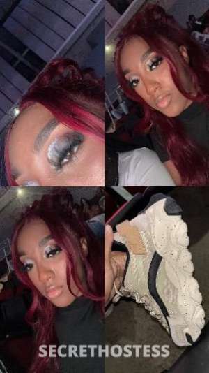 Stallion 21 year old Escort in Lafayette LA