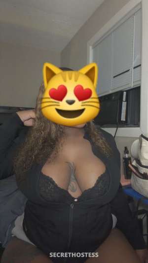 25Yrs Old Escort Lansing MI Image - 2