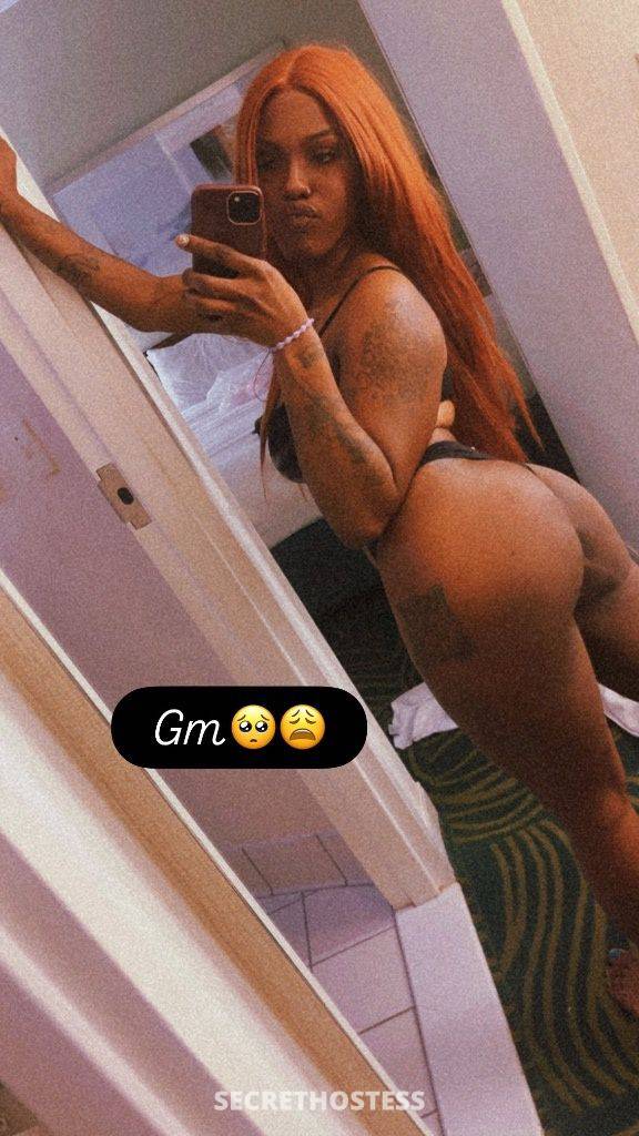25Yrs Old Escort York PA Image - 2