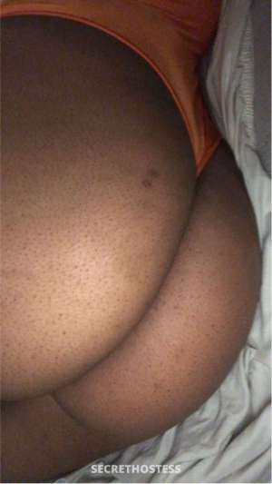 bbw glazed honey bunn 23 year old Escort in Greensboro NC