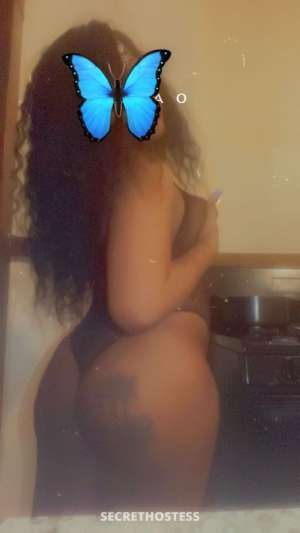 24Yrs Old Escort Rochester NY Image - 4