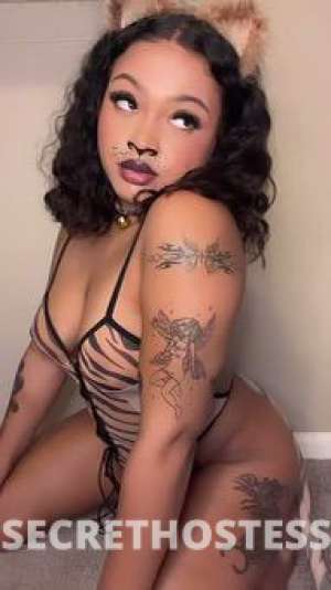 I’m available to take bookings 24 year old Escort in San Marcos TX