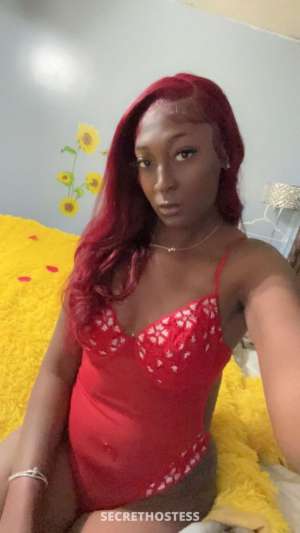 Amazongoddess 27Yrs Old Escort Chattanooga TN Image - 3
