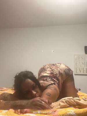 29 year old Escort in Westchester NY Special Squirter Let me fulfill all your needs specials 