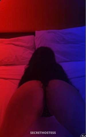 29Yrs Old Escort Albuquerque NM Image - 4