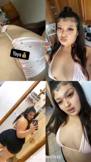 BBW SALVI MAMI carfun n outcall available 🥵😍 Facetime 22 year old Escort in Las Cruces NM