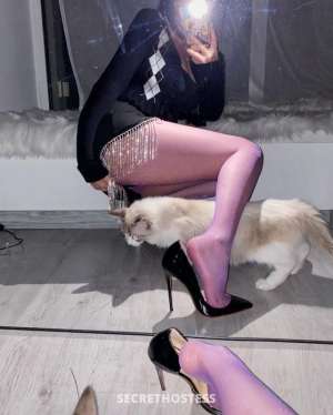 Vivian 23Yrs Old Escort Hudson Valley NY Image - 3