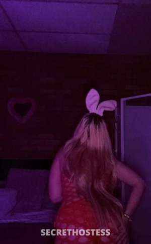 22Yrs Old Escort Wollongong Image - 7
